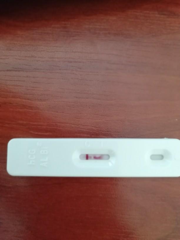 Bir Garip Gebelik Testi?