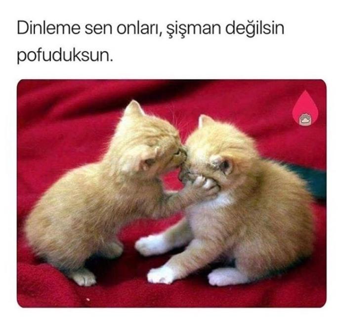 Kilolu arkdaşlarınızın kiloları ile olan sorunlarıyla ilgili nasıl tesellilerde bulunursunuz?
