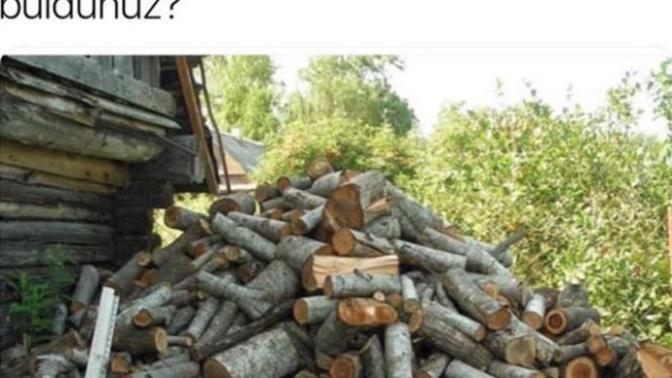 Resimdeki kediyi bulabilecek misiniz 🤔?