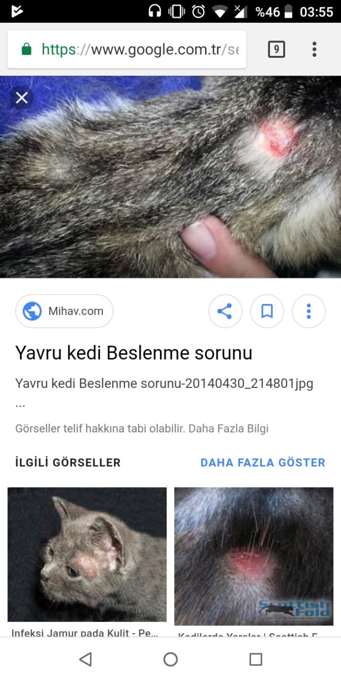 Ne olabilir sizce?