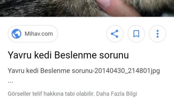Ne olabilir sizce?