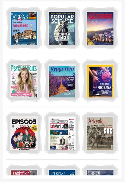 Dergi mi kitap mı? Yoksa her ikisi de mi?
