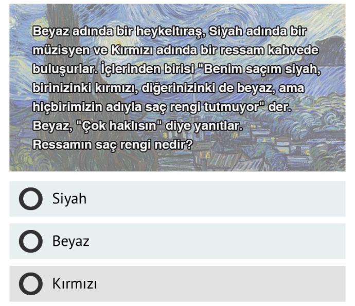 Ressamın saç rengi nedir?