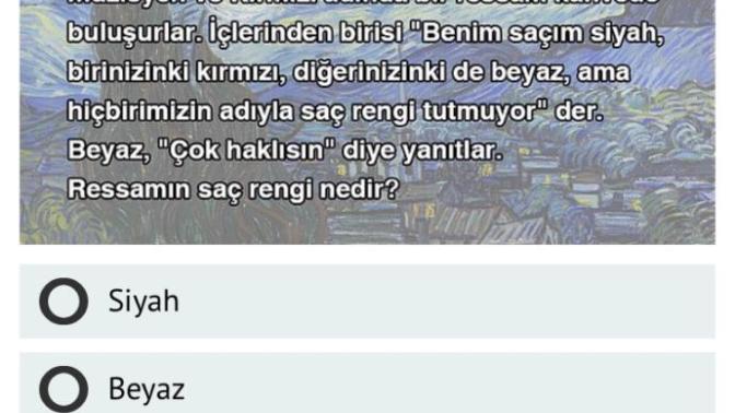 Ressamın saç rengi nedir?