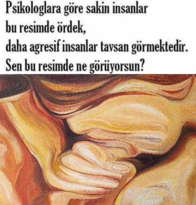 Psikolojik test resimde ne görüyorsun?