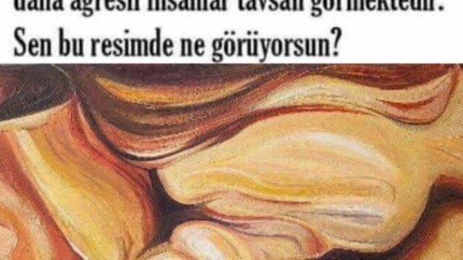 Psikolojik test resimde ne görüyorsun?