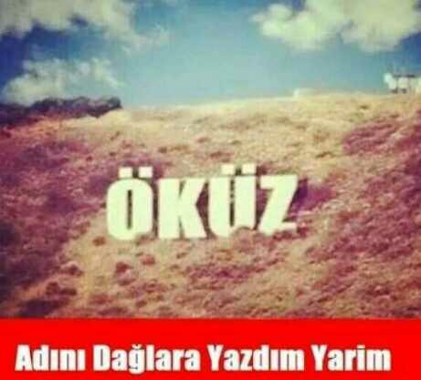Erkeklere neden öküz deniliyor?