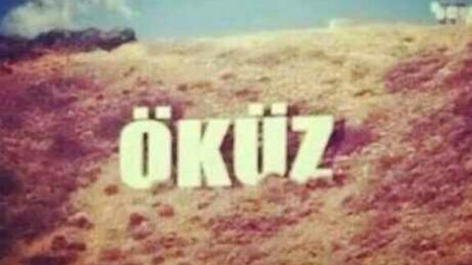 Erkeklere neden öküz deniliyor?