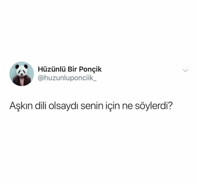 Aşkın dili olsaydı, senin için ne söylerdi?