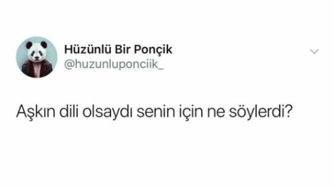Aşkın dili olsaydı, senin için ne söylerdi?