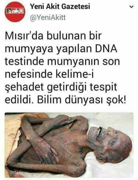Konyalı bilim adamlarının Mısır'daki mumyanın son nefesinde kelimei Şahadet getirdiğini keşfetmesi hakkında ne düşünüyorsunuz?