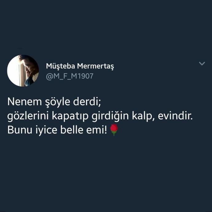 Ne demek istemiş anlamadım?