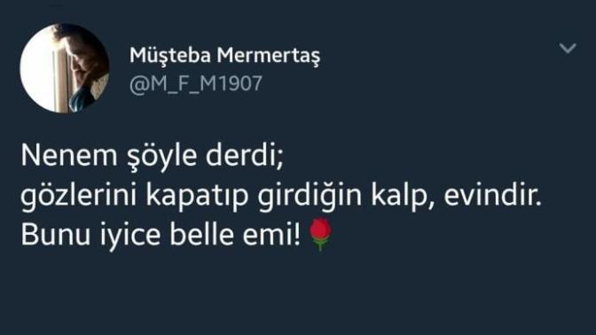 Ne demek istemiş anlamadım?