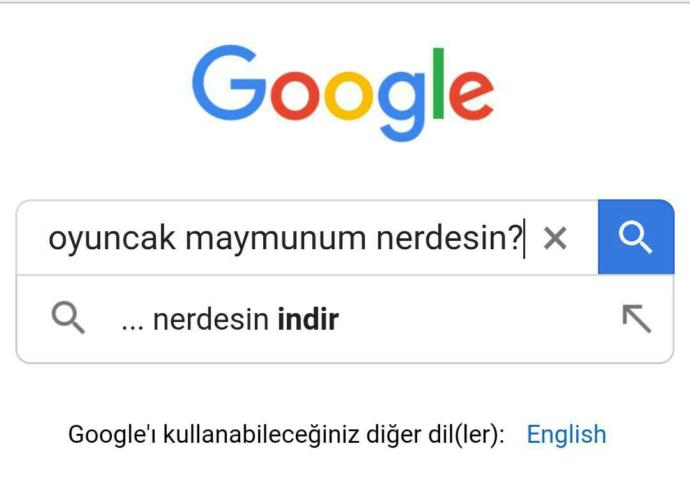Google'da aradığınız en ilginç şey nedir?
