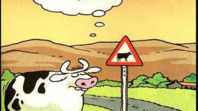 Size göre egoistlik nedir? Birine egoist diyebilmeniz için hangi özellikleri kendinde barındırması gerekir?