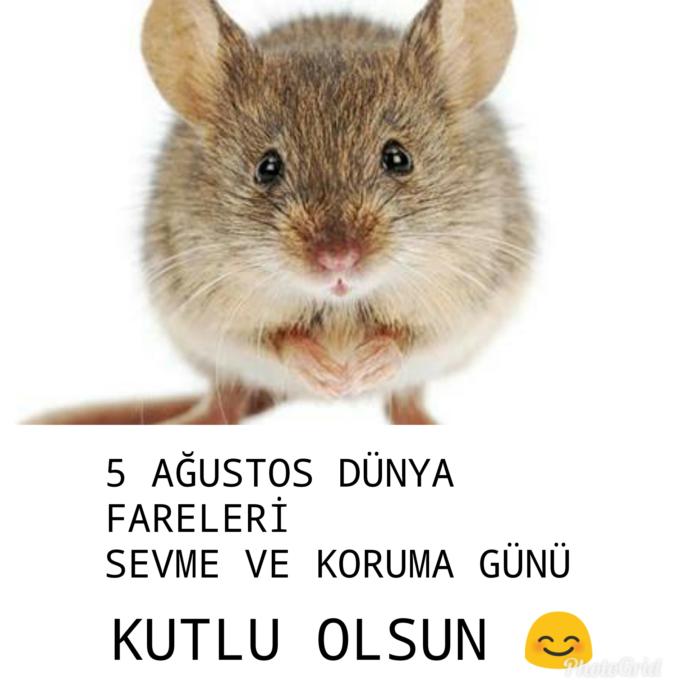 FARELERİMİZ ÖZELDİR!