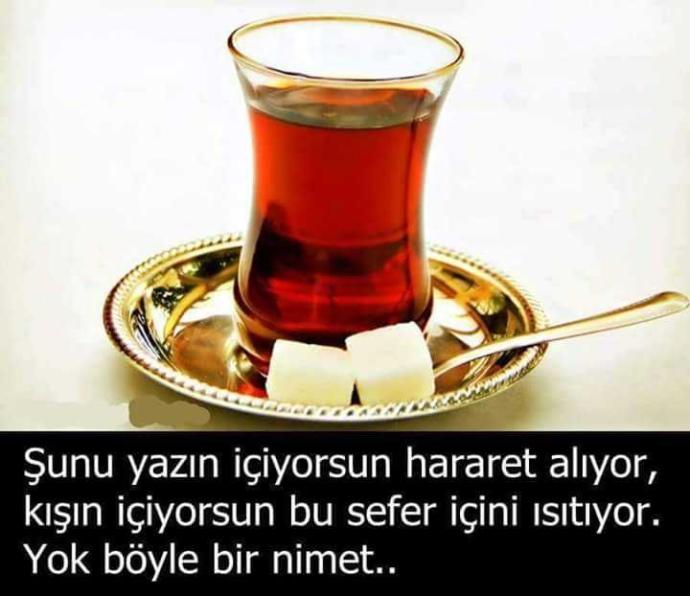Çay hakkında ne düşünüyorsunuz?