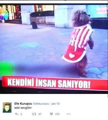 Eski sevgilinizi bir şeye benzetecek olsanız neye benzetirsiniz?