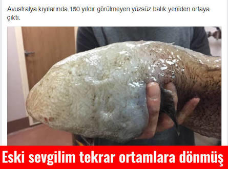 Eski sevgilinizi bir şeye benzetecek olsanız neye benzetirsiniz?