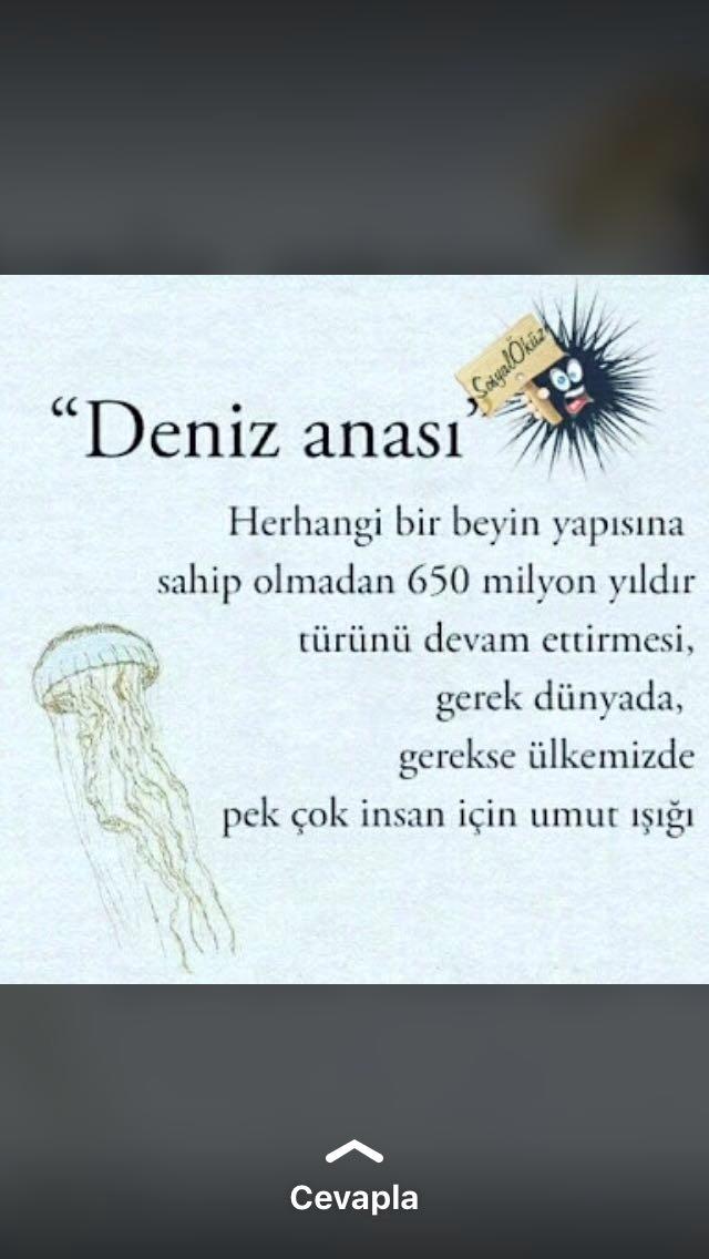 Eski sevgilinizi bir şeye benzetecek olsanız neye benzetirsiniz?