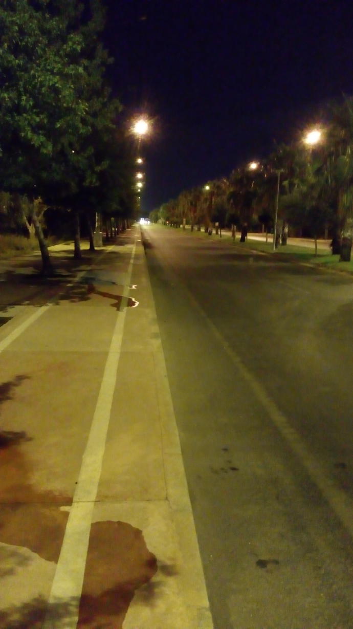 Gece yürüyüşü sever misiniz?