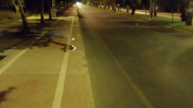 Gece yürüyüşü sever misiniz?