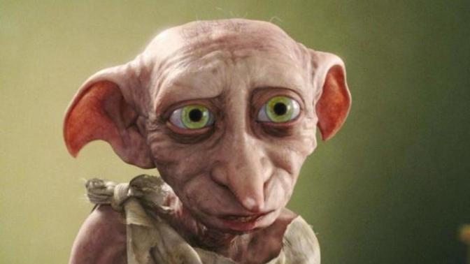 Dobby hakkında ne biliyorsunuz?
