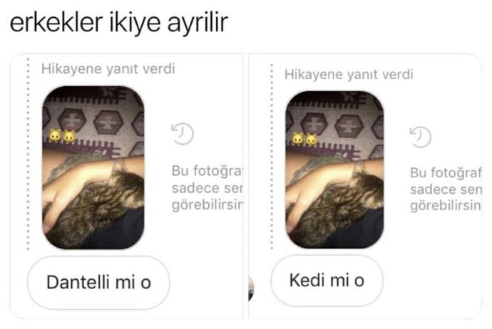 Erkekler gerçekten görseldeki gibi ikiye mi ayrılır?