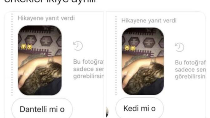 Erkekler gerçekten görseldeki gibi ikiye mi ayrılır?