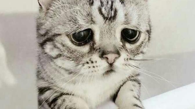 Saten elbiseler gecelik gibi mi duruyor 😕?