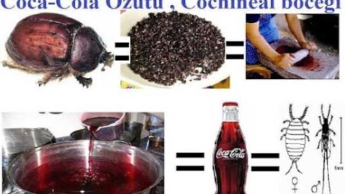 Coca colanin zararli oldugunu bile bile niye iciyorsunuz?