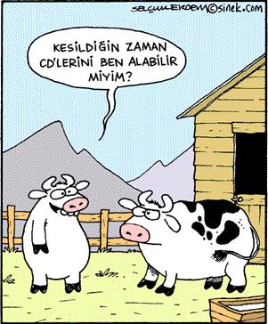 İlişkilerde kadınlar mı daha fırsatçıdır, erkekler mi?
