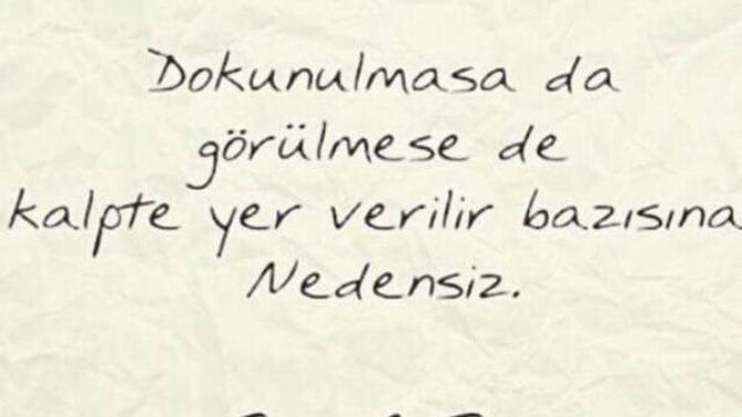 İnsan görmediği birine Aşık olabilir mi?