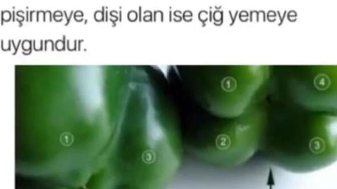 Dolmalık biber alırken çıkıntı sayısına dikkat ediyor musunuz?
