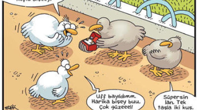 Bir taşla iki kuş vurdunuz mu?