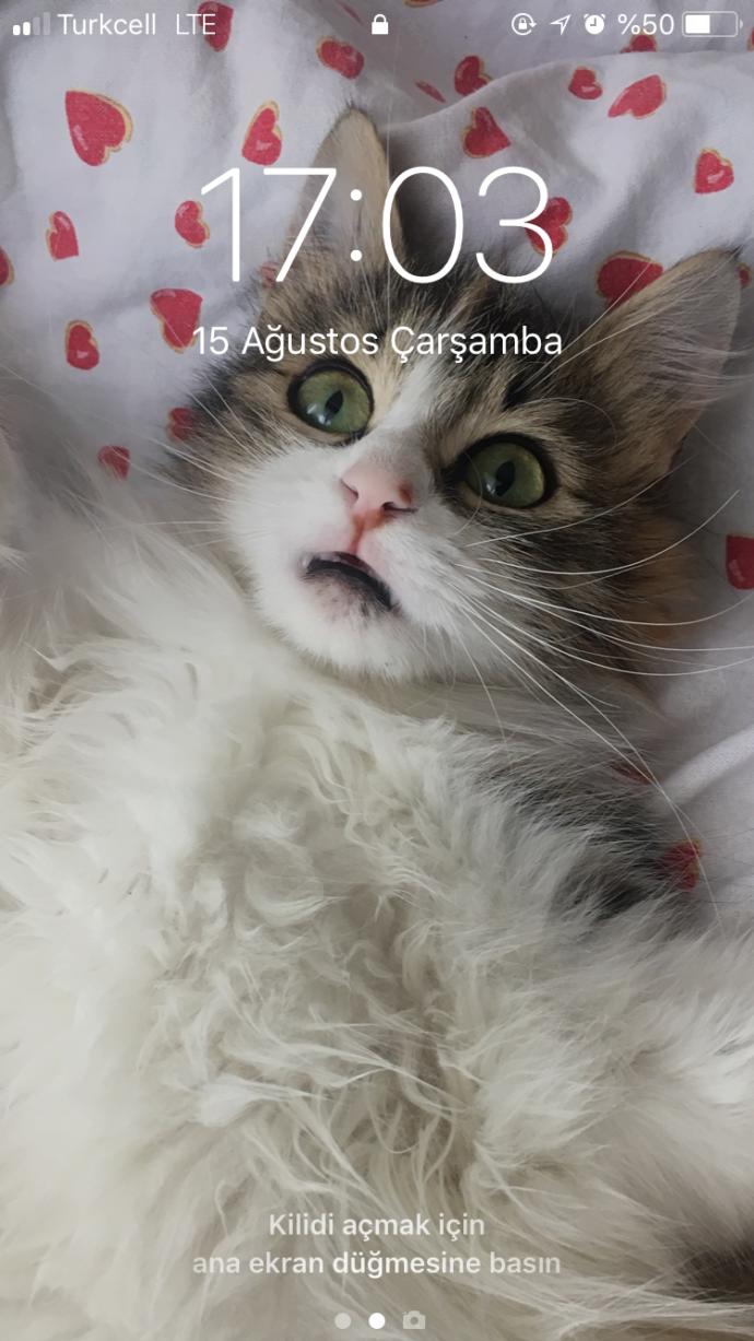 Telefonunun ekranına sevgilisinin fotoğrafını koyan kişi ağır ergen midir, yoksa çok mu seviyordur?