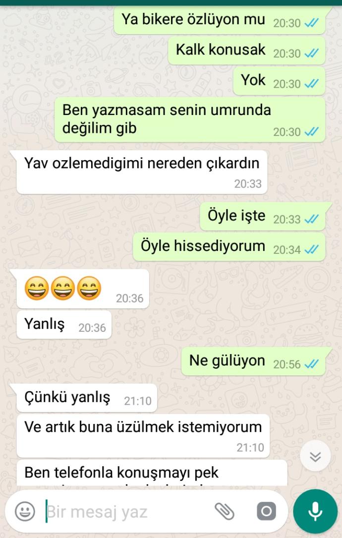 Sevgilim sevmiyor mu aslan burcu?