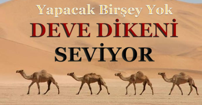 Kaçan neden kovalanıyor?