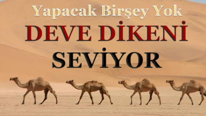 Kaçan neden kovalanıyor?